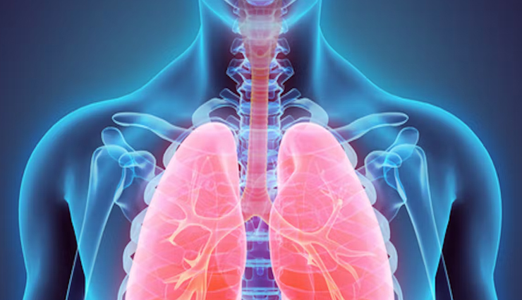 smoking dangers,health risks of smoking,smoking and health hazards,effects of smoking on health,risks of tobacco use,smoking-related health problems,smoking hazards and consequences,harmful effects of smoking,smoking dangers to health,tobacco dangers to health,smoking and disease,health effects of tobacco,smoking risks and complications,tobacco-related illnesses,smoking and cancer,secondhand smoke risks,smoking cessation benefits,tobacco addiction consequences,long-term effects of smoking,smoking-related mortality