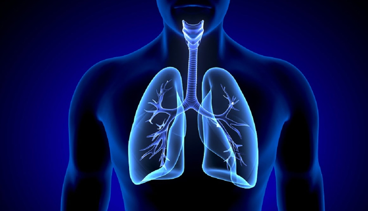 शरीर के सबसे महत्वपूर्ण अंगों में से एक है फेफड़े, इन संकेतों से पता चलती हैं इनकी खराबी 
