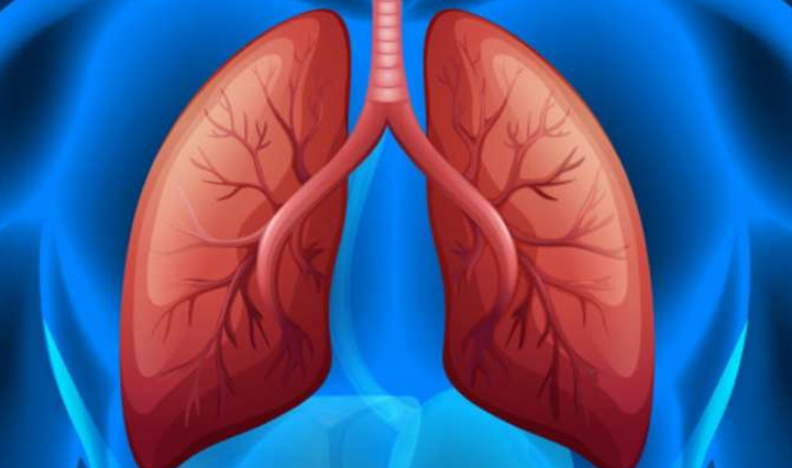 बढ़ते प्रदूषण के बीच रखें फेफड़ों का ख्याल, डाइट में शामिल करें ये 10 सुपरफूड