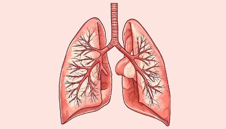 deep breathing benefits,conscious breathing,oxygen intake,stress relief techniques,improve mood naturally,breathing exercises,longevity tips,deep breathing for health,shallow vs deep breathing,daily breathing practice