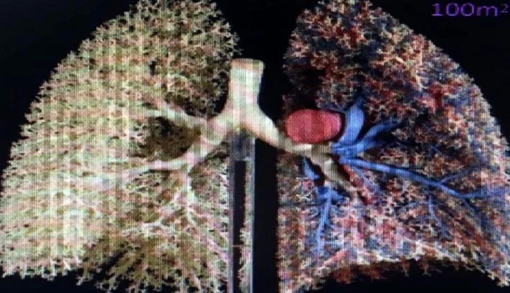 Health tips,health tips in hindi,health research,covid 19,coronavirus,smokers at higher risk