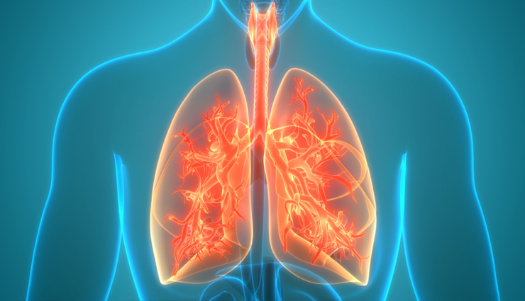 10 Things You Can Do To Keep Your Lungs Healthy