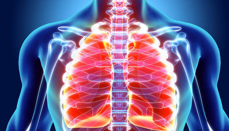 lungs,coronavirus,infection,corona infection,Health