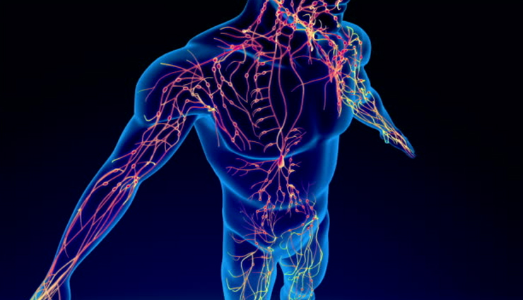 dry brushing benefits,health benefits of dry brushing,dry brushing for skin health,how to dry brush for health,dry brushing for lymphatic drainage,dry brushing for cellulite,best dry brushing techniques,benefits of dry brushing before shower,dry brushing for immune system,dry brushing for natural detoxification