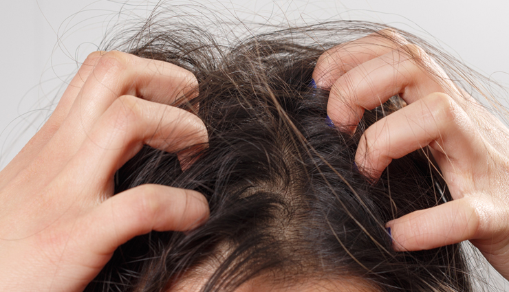 macadamia nut oil,beauty benefits of macadamia nut oil,macadamia nut oil for hair,hair care tips,beauty tips