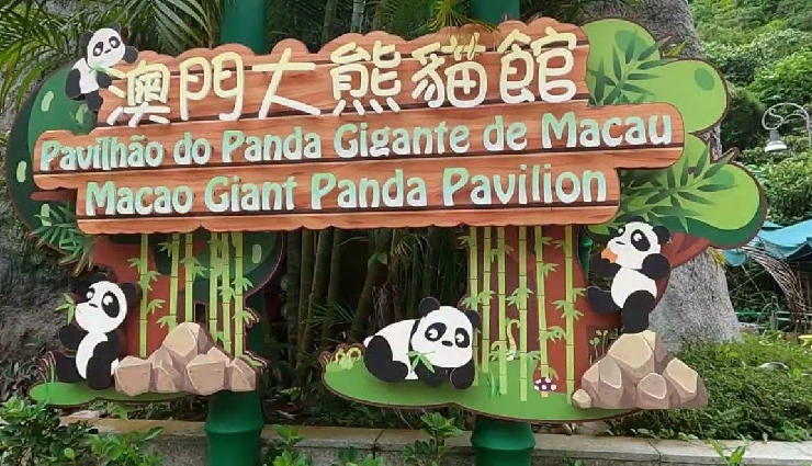 macau travel destinations,must-visit places in macau,macau tourist attractions,reasons to visit macau,macau travel tips,exploring macau guide,macau sightseeing highlights,things to do in macau,macau travel experiences,macau travel recommendations,macau travel experiences 2023,macau vacation spots,macau cultural attractions,macau travel inspiration,exploring macau heritage,macau city travel guide,macau off-the-beaten-path,macau travel itinerary,best of macau travel,macau travel insights and tips