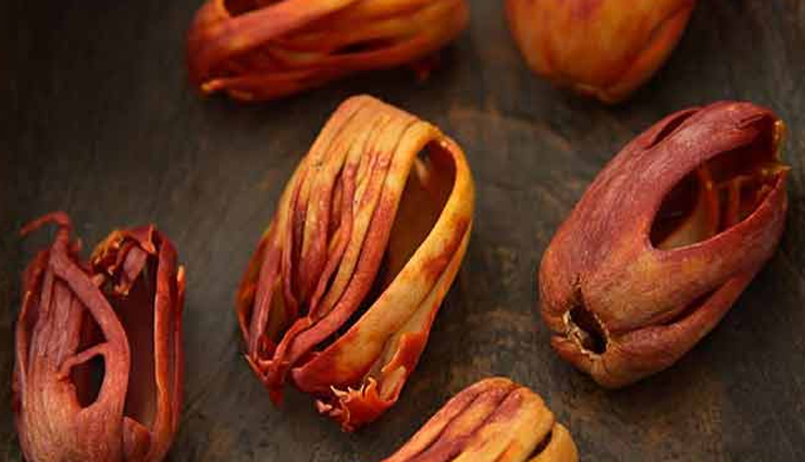 8 Amazing Health Benefits of Javitri or Mace