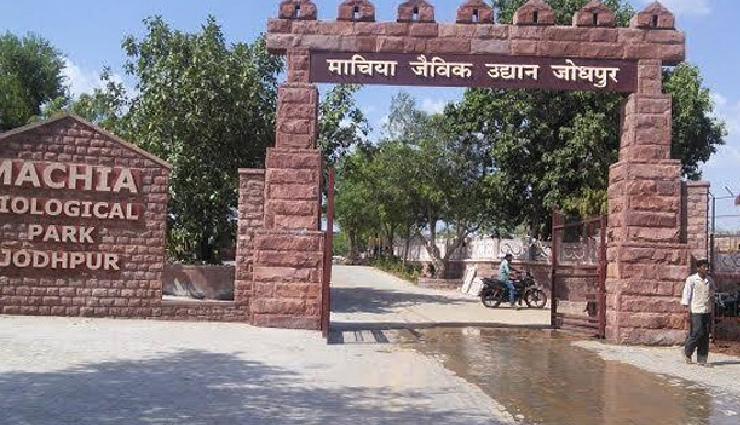 best places in jodhpur to visit,must-visit spots in jodhpur,top attractions in jodhpur,jodhpur sightseeing places,iconic places to explore in jodhpur,historical sites in jodhpur,cultural landmarks in jodhpur,jodhpur tourist attractions,heritage sites in jodhpur,famous places in jodhpur,jodhpur city highlights,best viewpoints in jodhpur,jodhpur forts and palaces,popular spots in jodhpur,jodhpur hidden treasures