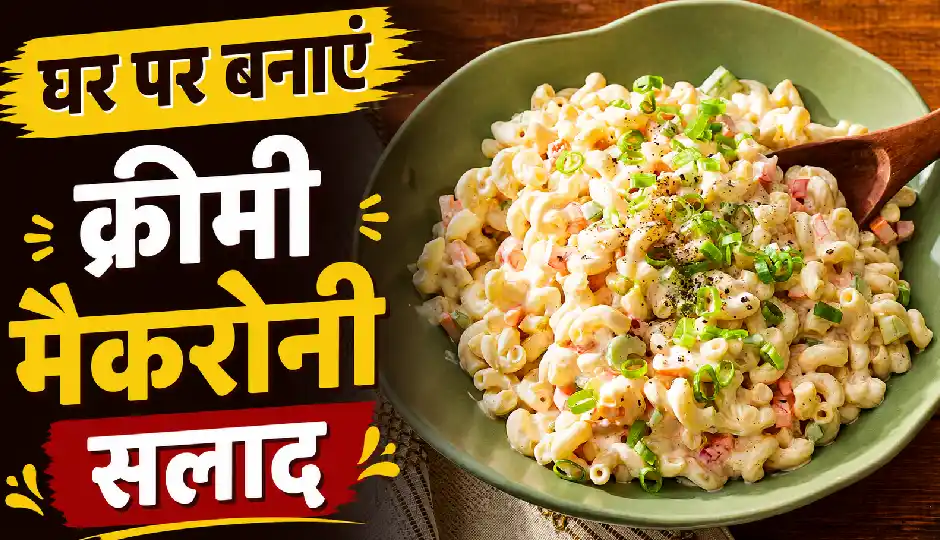 घर पर बनाएं क्रीमी मैकरोनी सलाद, ठंडा करके खाएंगे तो दोगुना बढ़ जाएगा स्वाद; नोट करें आसान रेसिपी