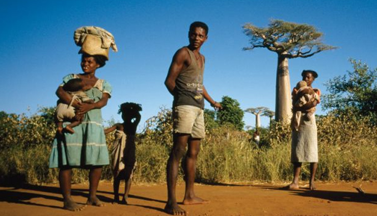 madagascar,things about madagascar,facts about madagascar,rules of madagascar