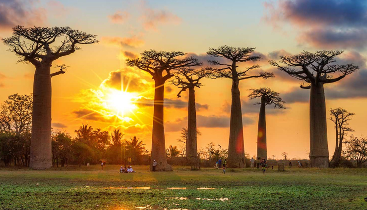 travel,travel guide,travel tips,bucket for travel,holidays