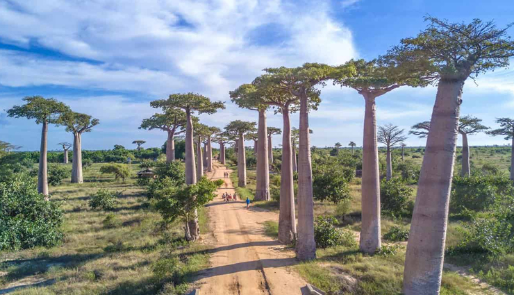 madagascar,things to do in madagascar,places to visit in madagascar