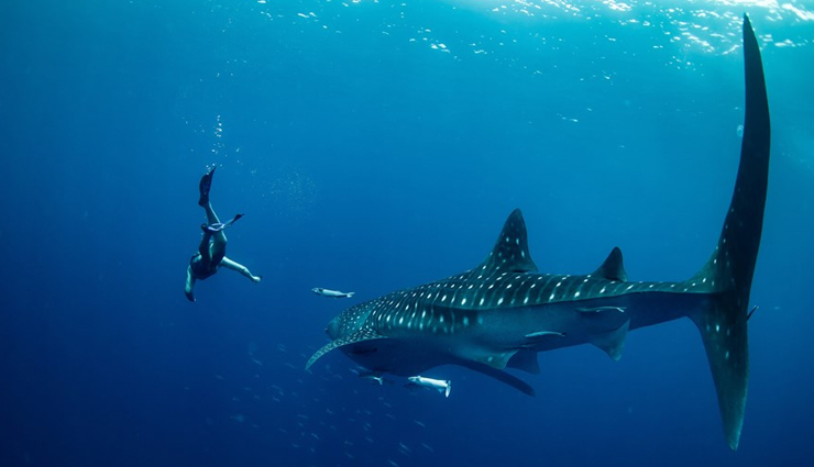 madagascar,things to do in madagascar,places to visit in madagascar