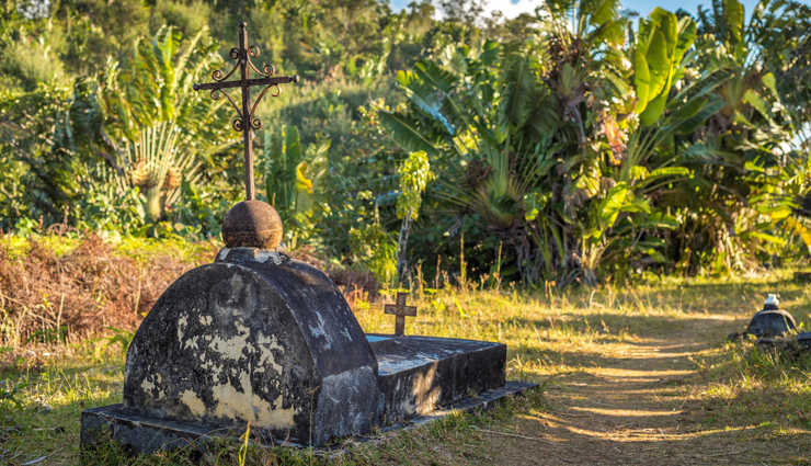 madagascar,reasons to visit madagascar,travel tips,holiday tips