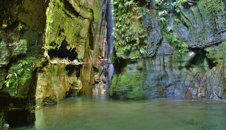 beautiful national parks,national parks,national parks in madagascar,madagascar,ranomafana national park,isalo national park,andasibe-mantadia national park,andringitra national park,tsingy de bemaraha