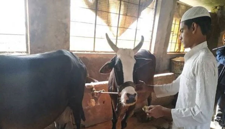 अनोखी मिसाल बना ये मदरसा, बच्चो को इस्लामिक तालीम के साथ सिखाई जाती है गौसेवा 