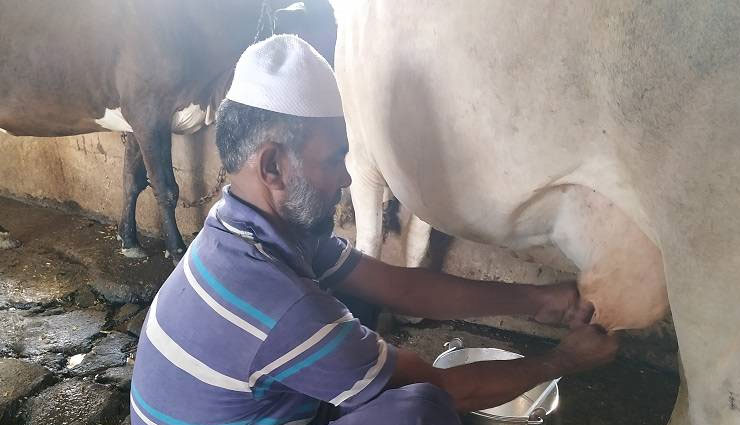 madhya pradesh,bhopal,madarsa,madarsa have a cow shelter,islam,weird news in hindi