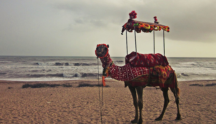 गुजरात के समुंदर तट,गुजरात पर्यटन,गुजरात में पर्यटन स्थल,गुजरात की बीचें,गुजरात के प्रमुख समुंदर तट,गुजरात के पर्यटन आकर्षण,गुजरात के पर्यटन स्थलों की जानकारी,गुजरात में घूमने की जगहें,गुजरात के सुंदर समुंदर तट,गुजरात के लोकप्रिय बीचें,gujarat beaches,tourism in gujarat,tourist places in gujarat,beaches in gujarat,top beaches in gujarat,gujarat coastal attractions,gujarat beach destinations,gujarat tourism spots,best beaches in gujarat,gujarat beach tourism