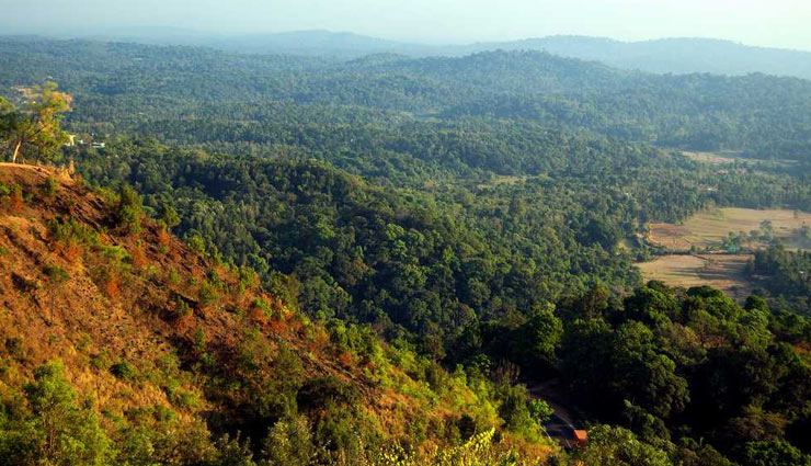 कॉफ़ी के बागानों से भरा है मदिकेरी, जानें यहां की खास जगहें