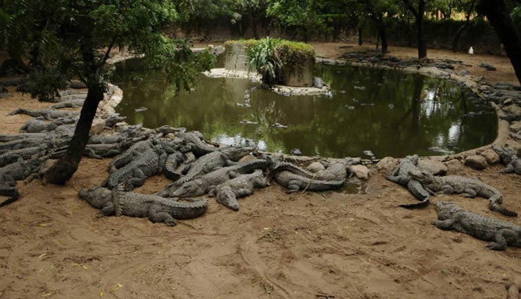 tourist places,indian tourist places,mamallapuram,mamallapuram tourist places