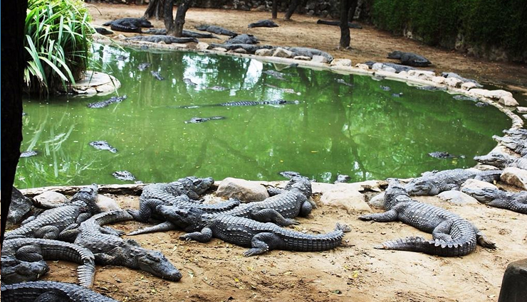 tourist places to visit in chennai,holidays,travel,tourism