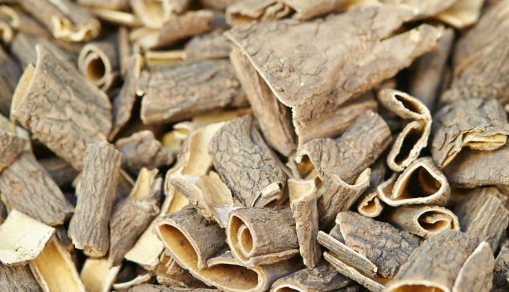 6 Amazing Health Benefits of Magnolia Bark