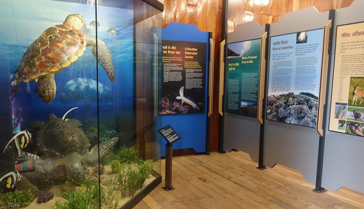 wildlife reserves to visit in india,reserves to visit in india,gir national park,kanha tiger reserve,sundarbans national park,mahatma gandhi marine national park,balpakram national park,kaziranga national park,travel,india travel,holidays,travel guide,india tourism