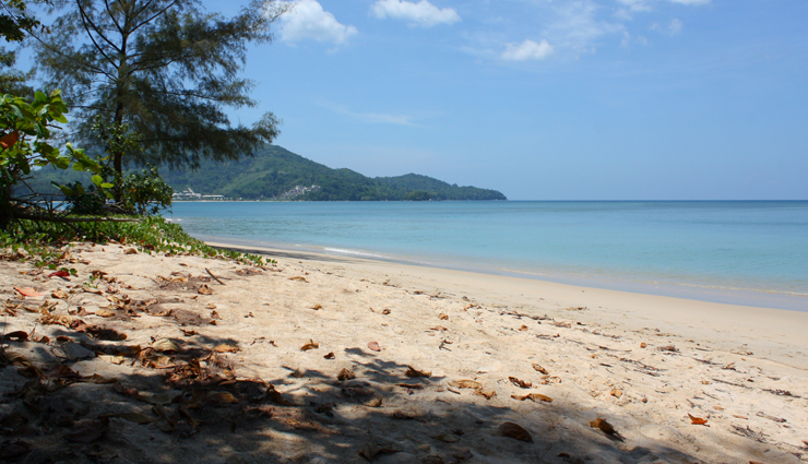 wildlife experiences around the world,must-have wildlife encounters globally,unforgettable wildlife experiences worldwide,must-visit wildlife destinations globally,wildlife adventures around the world,essential wildlife encounters in different countries,must-see wildlife spectacles globally,top wildlife experiences worldwide,wildlife encounters you should not miss,spectacular wildlife sightings around the world,wildlife tourism hotspots globally,must-have wildlife encounters for nature enthusiasts,extraordinary wildlife experiences worldwide,bucket-list wildlife encounters around the globe,must-visit destinations for wildlife lovers,thrilling wildlife encounters across continents,iconic wildlife experiences worldwide,essential wildlife destinations around the world,unforgettable animal encounters globally,unique wildlife experiences in different countries