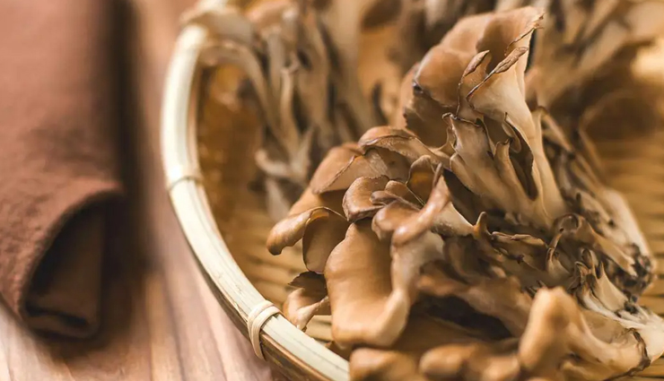 medicinal mushrooms,medicinal mushrooms  for health problems,healthy living,Health tips