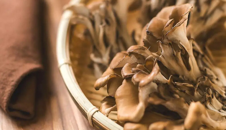 mushroom nutrition,health benefits of mushrooms,mushroom varieties,cooking with mushrooms,mushroom recipes,mushroom health properties,mushroom antioxidants,immune-boosting mushrooms,mushroom fiber content,mushroom vitamin content,mushroom minerals,mushroom bioactive compounds,mushroom culinary uses,mushroom savory dishes,mushroom soup recipes