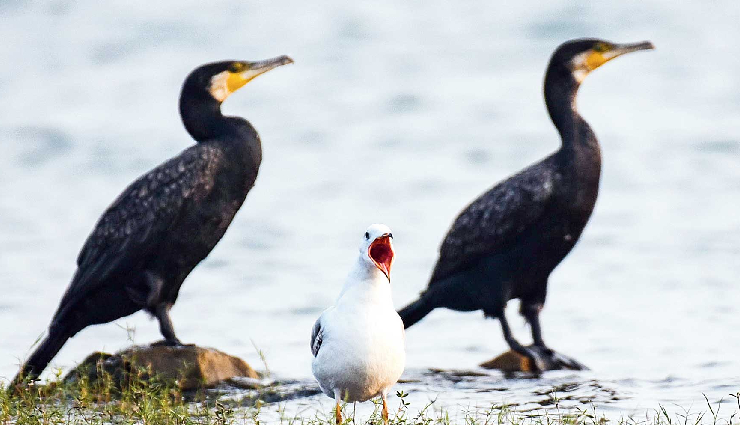 less explored places in india,hidden gems in india,unexplored destinations in india,offbeat places in india,secret spots in india,underrated destinations in india,indias best-kept secrets,lesser-known places in india,hidden treasures of india,indias hidden paradises