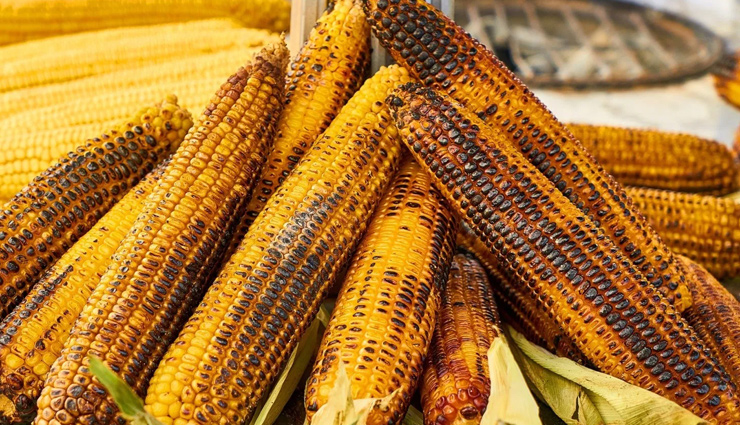 indian foods,pakoras,samosa,kachori,roasted maize,aloo tikka chaat,momos,pav bhaji,monsoon food,indian food to try in monsoon,india,indian cuisine