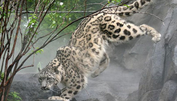 solan hill station,solan hill station himachal pradesh,solan tourist places,solan sightseeing,solan travel guide,solan weather,solan tourism,best time to visit solan,solan attractions,solan hill station hotels,solan hill station resorts,solan hill station trekking,solan hill station adventure,solan hill station culture,solan hill station local cuisine