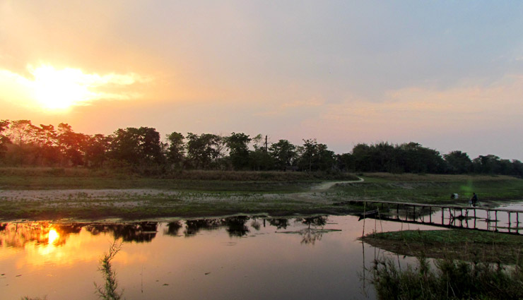 jadav payeng grew up on majuli island on the brahmaputra rive,assam,india,hard work,weird news