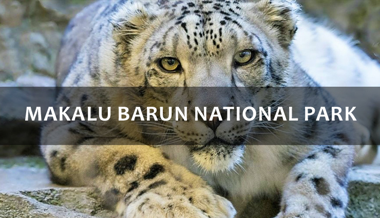 wildlife sanctuaries to visit in nepal,best wildlife sanctuaries to visit in nepal,7 best wildlife sanctuaries to visit in nepal,chitwan national park,parsa wildlife reserve,shukla phanta wildlife reserve,sagarmatha national park,makalu barun national park,annapurna conservation area,kanchenjunga conservation area,nepal travel,holidays,travel guide,travel tips