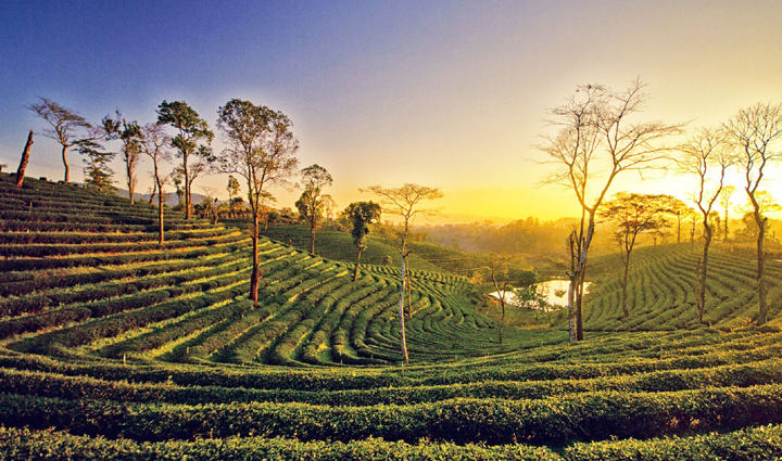 this festival is celebrated with different names in different parts of the country,holiday,travel,tourism