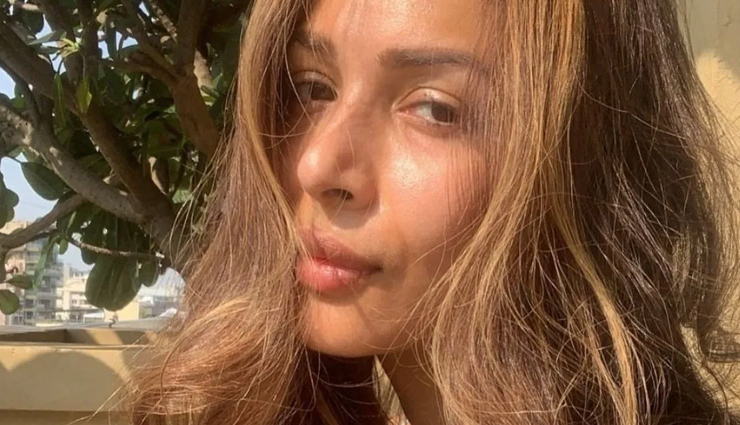 48 साल की उम्र में भी ग्लो करती है मलाइका अरोड़ा की स्किन, इन 3 घरेलू नुस्खों का करती हैं इस्तेमाल malaika arora,malaika arora beauty secret,malaika arora skin care secret,malaika arora skin care,malaika arora home remedies,malaika arora glowing skin secret,malaika arora glowing skin,malaika arora diy skincare,beauty,beauty tips