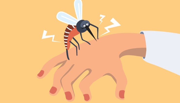 8 Home Remedies Best for Malaria