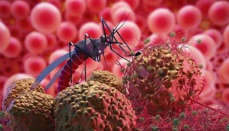 harsingar,parijaat,night jasmine,parizaat,health benefit,beauty benefit,heath,Health tips