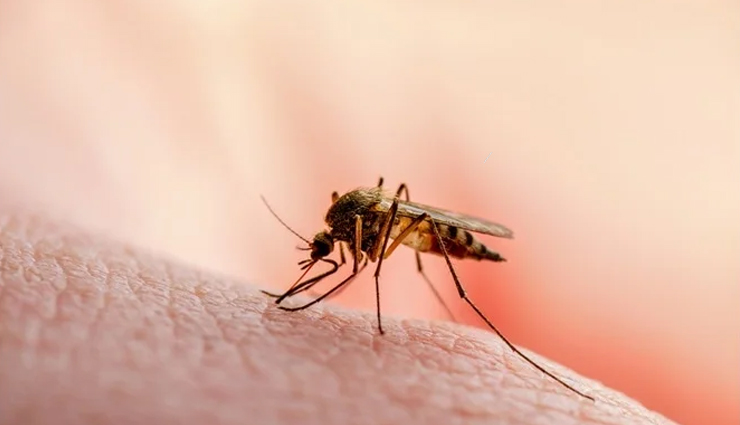 waterborne diseases,waterborne illness prevention,water contamination,safe drinking water,water treatment methods,waterborne pathogens,water quality testing,water filtration systems,water disinfection methods,waterborne illness symptoms and treatment