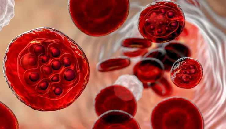 World Malaria Day 2022: 5 तरह का होता है मलेरिया बुखार, जानें इसके लक्षण world malaria day 2022,types of malaria,malaria fever,malaria symptoms,health news,healthy living