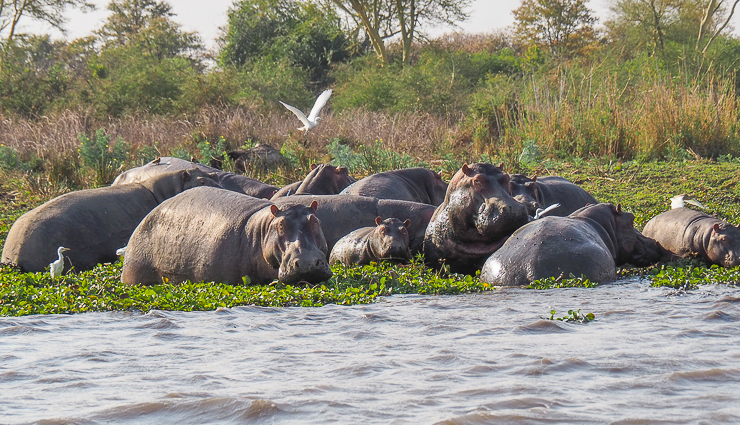 malawi,places to visit in malawi,tourist destination in malawi