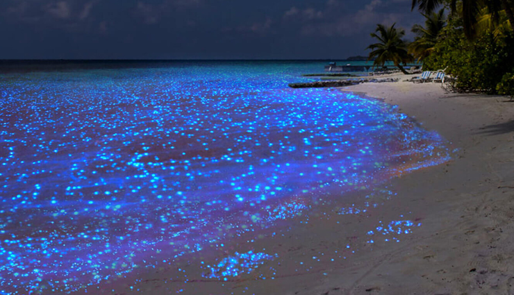 maldives,islands to visit in maldives,ari atoll,vaadhoo,baa atoll,male,thoddoo island,adu atoll