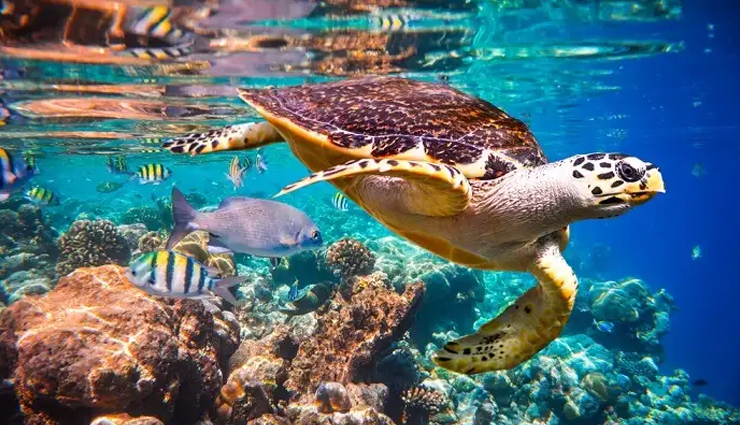 maldives,facts about maldives,travel tips