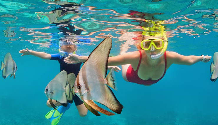 maldives interesting facts,amazing maldives trivia,facts about the maldives,unknown facts maldives,maldives fun facts,maldives island facts,curious facts about maldives,incredible maldives information,unique maldives details,maldives facts to know,maldives unique features,intriguing aspects of maldives,maldives hidden gems,lesser-known maldives details,unusual facts about maldives,exotic maldives revelations,maldives secrets uncovered,quirky facts about maldives,maldives mysteries revealed,astonishing maldives insights