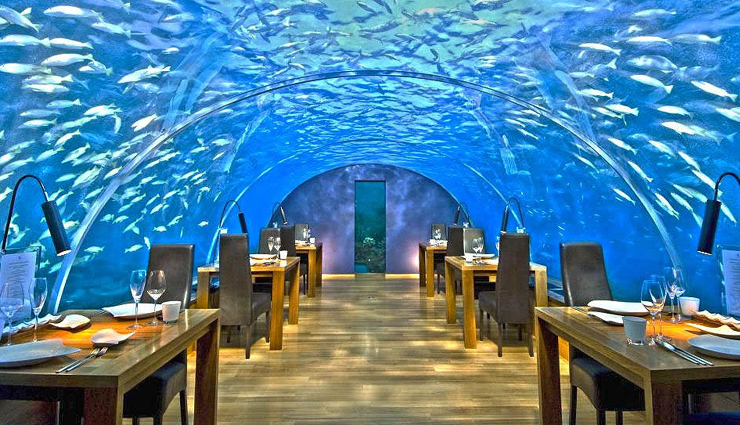underwater restaurants to visit in maldives,holiday,travel,tourism