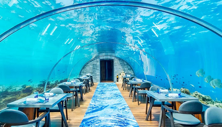 underwater restaurants to visit in maldives,holiday,travel,tourism