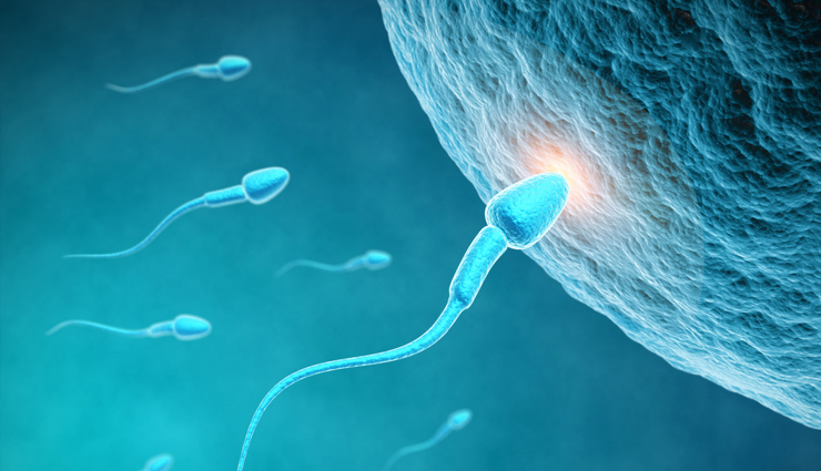 vitamin e for health,health benefits of vitamin e for health,amazing health benefits of vitamin e for health,vitamin e for skin,vitamin e for nail growth,vitamin e for eyes,immunity booster vitamin e,heart diseases risk vitamin e,chronic inflammation vitamin e,Health,Health tips