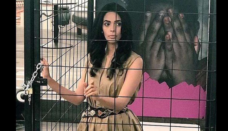 Cannes Festival में जाकर पिंजरे पिंजरे में बंद हो गईं मल्लिका शेरावत