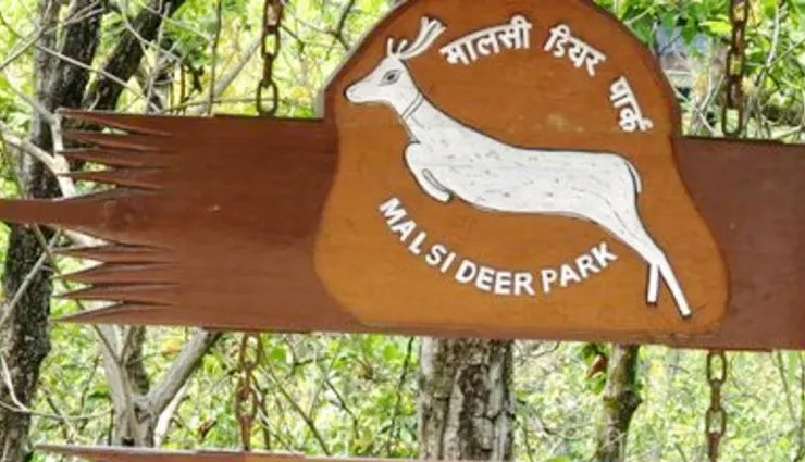 खूबसूरत वादियों के लिए जाना जाता है देहरादून, जरूर करें यहां इन 8 जगहों की सैर dehradun travel attractions,best places to visit in dehradun,top tourist spots in uttarakhand,must-see places in dehradun,famous destinations in uttarakhand,dehradun sightseeing guide,exploring dehradun attractions,uttarakhand travel recommendations,discovering tourist spots in dehradun,dehradun tourism highlights,dehradun tourist places,things to do in dehradun,best places to visit in dehradun,dehradun sightseeing,dehradun travel guide,dehradun attractions,dehradun hill stations,dehradun famous landmarks,dehradun weekend getaways,dehradun trekking spots